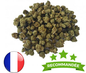 Le mix de fleurs de CBD : plusieurs variétés de chanvre Connue pour ses petites têtes résineuses