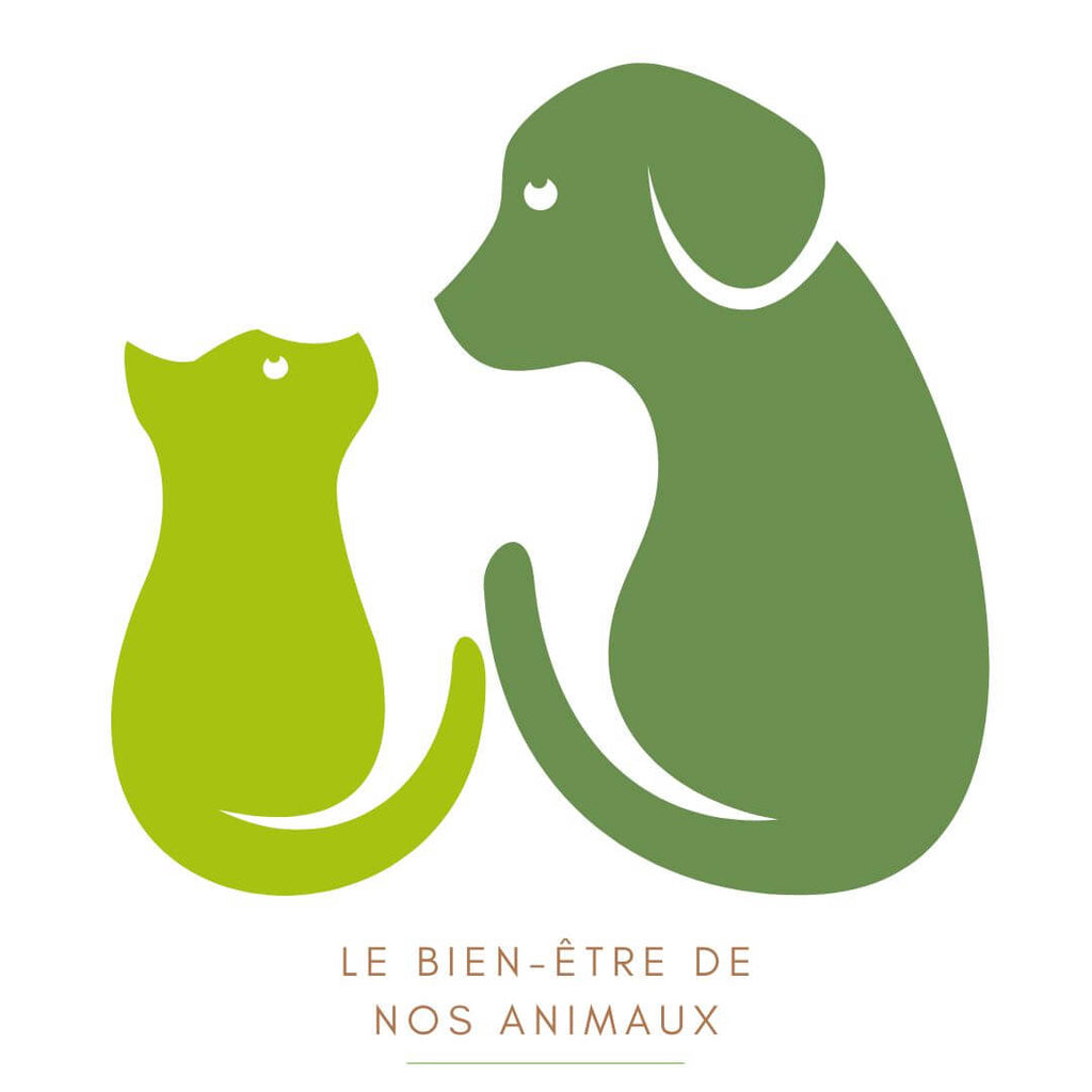 Huile CBD animaux française 5% pour chien et chat BIONAT 10 ml