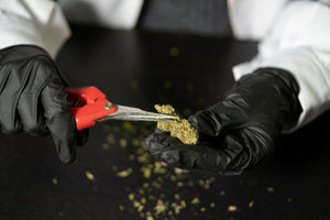 Recherche Cannabis - Importance des recherches