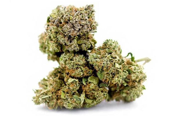 Bionat CBD : Cannabis CBD légal en France - Achat dans le shop cbd et Livraison Gratuite